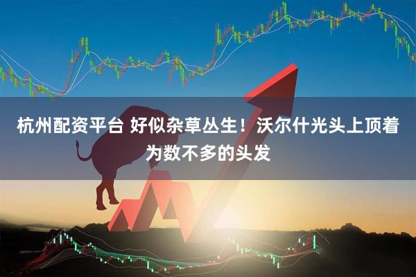 杭州配资平台 好似杂草丛生！沃尔什光头上顶着为数不多的头发