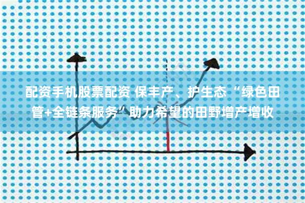 配资手机股票配资 保丰产、护生态 “绿色田管+全链条服务”助力希望的田野增产增收